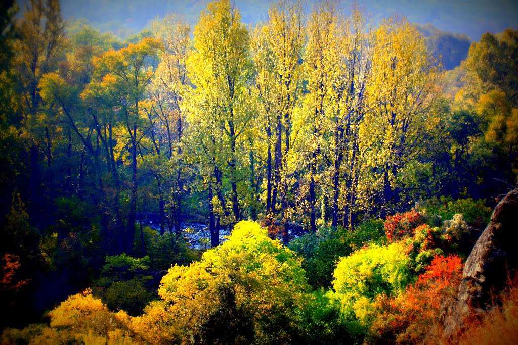 Dachigam National Park