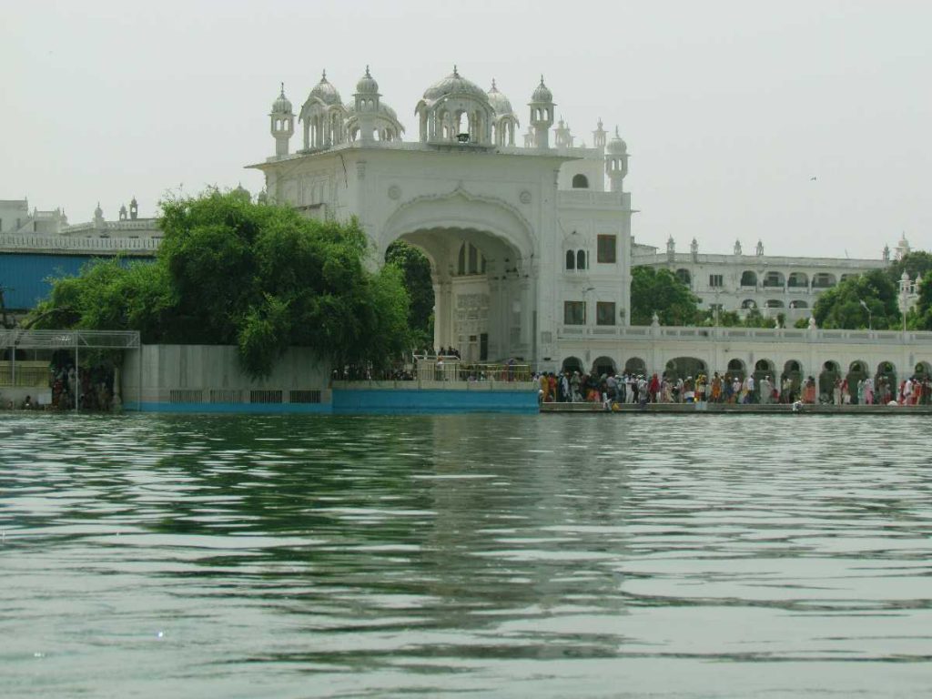 Dukh Bhanjani Ber Tree