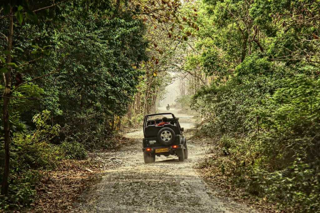 Jim Corbett Tempo Traveller Packages Himachal - Paras International