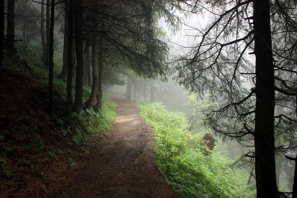 Kalatop wildlife sanctuary