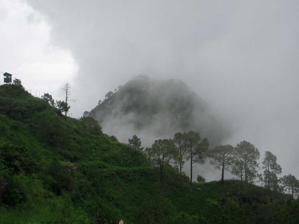 Kasauli