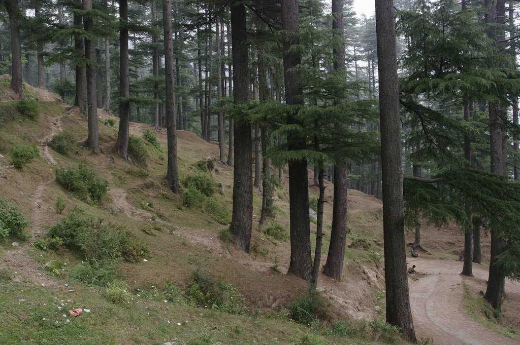 Khajjar