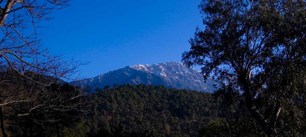 Palampur