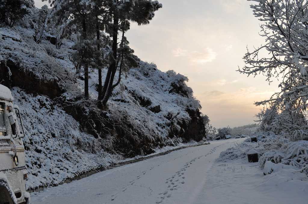 Shoghi